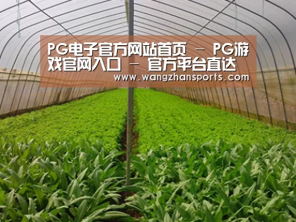 种植基地四
