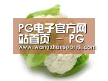 产品名称九