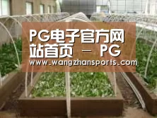 环境展示五