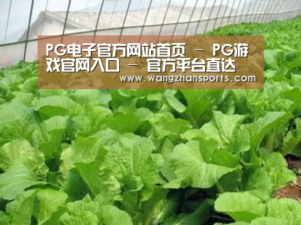 种植基地一