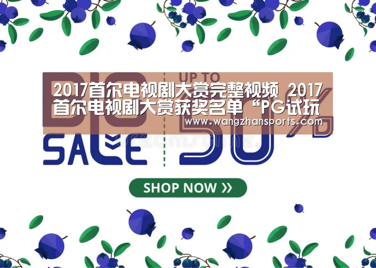 2017首尔电视剧大赏完整视频 2017首尔电视剧大赏获奖名单“PG试玩”(图1) PG试玩