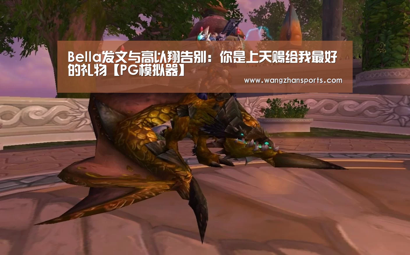 PG新手